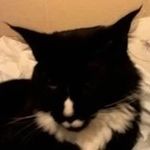 sara sheldon - @sara_sheldon2004 - Instagram