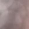 Sarah Silbaugh - @sarahmorris41 - TikTok