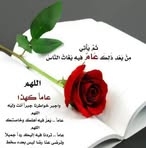 Sara Sille - Facebook