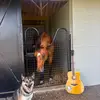 Sarah silver - @sarah.silver08 - TikTok