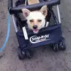 Sara Simard569 - @sarasimard569 - TikTok
