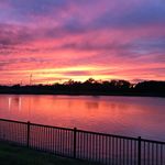 Sara Reed Sims - @sara_sims64 - Instagram
