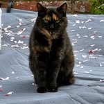 Sara Singleton-Hill - @sara.singletonhill - Instagram