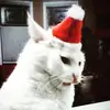 Sarah Millslagle - @sarahmillslagle - TikTok