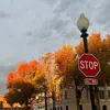 Sarah - @sarahslagle907 - TikTok