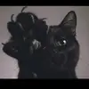 Sara Smail - @sarasmail02 - TikTok