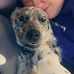 Sara Snell - Facebook