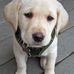 Sara Snook - Facebook