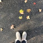 Sara Snook - @groundedphotodiary - Instagram