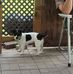 Sara Spaulding - Facebook