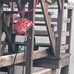Sarah Skinner - Facebook