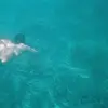 Sarah Staker - @sarahstaker01 - TikTok