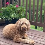 Sarah Standish Latimer - @beautisha13 - Instagram