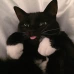 Sara Staniszewski - Facebook