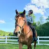 Sarah Staples - @red.sarahsversion - TikTok