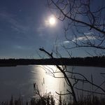Sarah Stauffer - @qiaotang_photography - Instagram