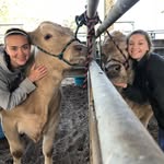 Pilot & Trump - @sarahnstephssteers - Instagram