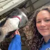 Sara - @sarastefani66 - TikTok
