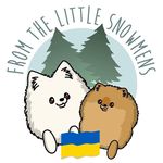 Sara Steger - @fromthelittlesnowmens - Instagram