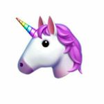Sara Steger - @steger_sara - Instagram