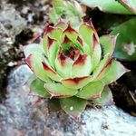 sarah_st - @sarah.steger - Instagram