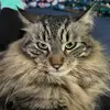 Sarah Steigerwald - @splitrock19 - TikTok