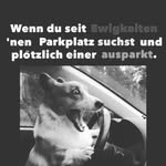 sara stender - @hi_hi_leute_ - Instagram