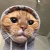 :) - @sara.stenstrom - TikTok