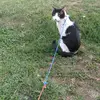 sara_steve_forever - @sara_steve_foreve - TikTok