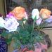 Sara Stickel - Facebook