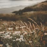 Saras Tierfotografie - @sarastierfotografie - Instagram