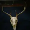 Sarah Stiffler - @sarahstiffler0 - TikTok