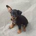 Sara Stivers - Facebook