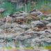Sarah Stivers - Facebook