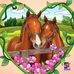 Sara Stock - Facebook