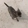 Sara Stock - @sara.thiele6 - TikTok