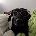 Sara Stoltz - Facebook