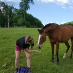 Sara Stoltz - @dogtor_stoltz - Instagram