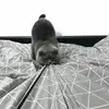 Sara Stoltz - @mighty.sara_ - TikTok