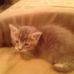 Sara Stover - Facebook