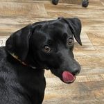 Sara Stover - @appled.juice - Instagram