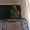 Lui😁 - @sarastrano0 - TikTok