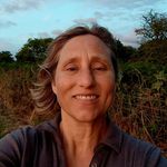 Sara Street - @foodforest125 - Instagram