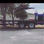 Sara Elizabeth Streeter - @sara_elizabeth_dance_ - Instagram