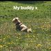 Sarah Stubbs - Facebook