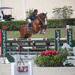 Sarah Sturges LLC - @sarah_sturgesllc - Instagram
