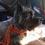 Sara Sally Swartz Suchy - @swartzsuchy - Instagram
