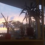 Sarah Suchy 2021 - @sarahsuchy2021 - Instagram