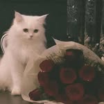 سـارة | 𝑺𝑨𝑹𝑨 - @sara.sulieman110 - Instagram