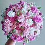 sara sy- - @sara_sulieman9178 - Instagram